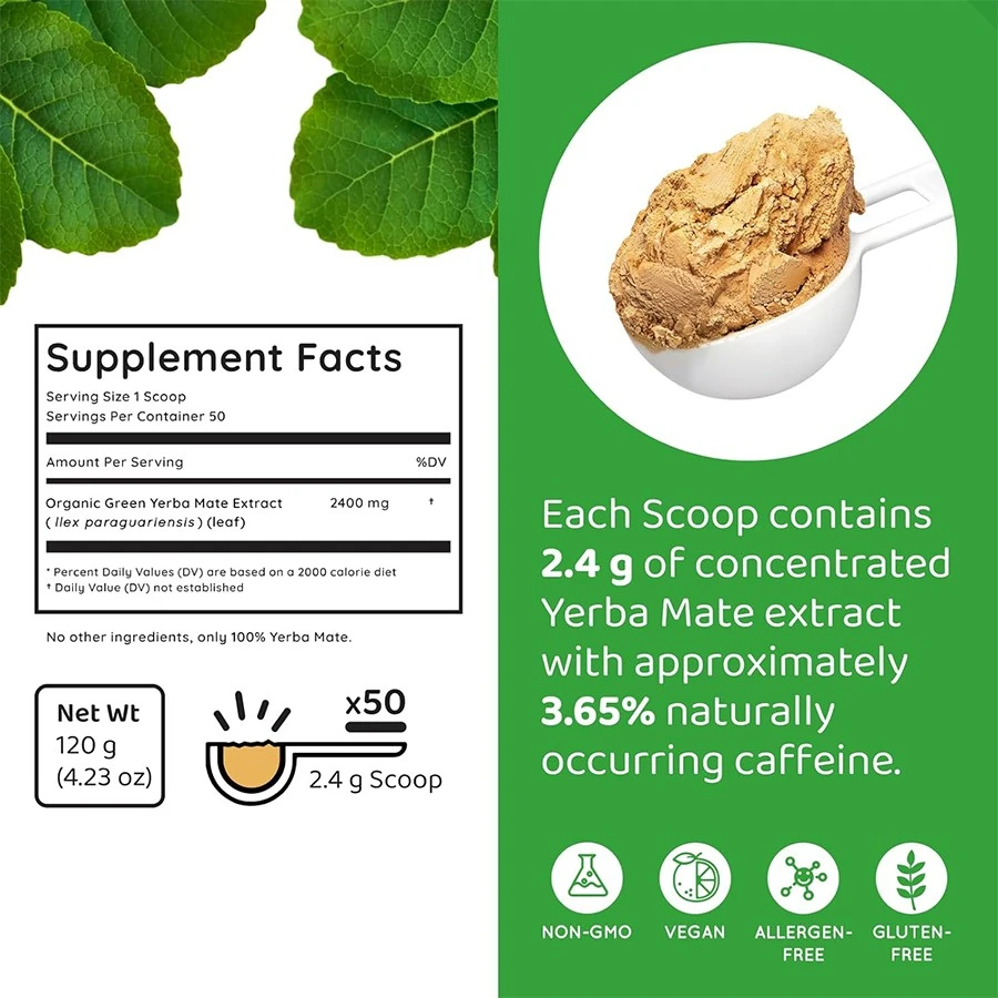 Organic Yerba Mate Powder best