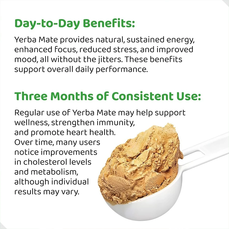 Organic Yerba Mate Powder suppliers